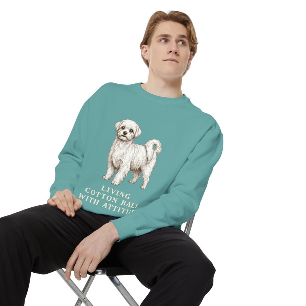 Maltese Humor Sweatshirt, Seafoam, person 1 context
