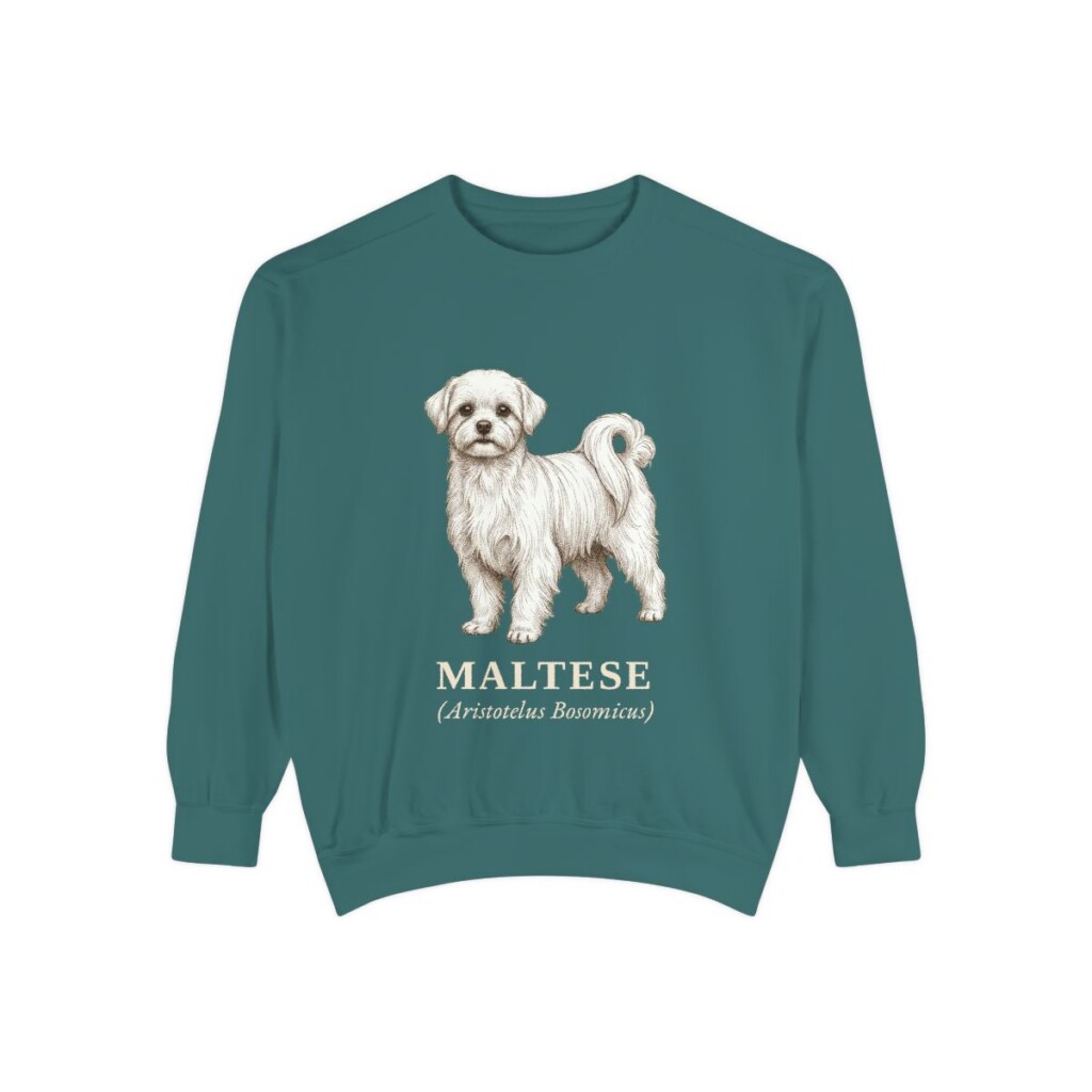 maltese-sweatshirt-latin-blue-spruce Maltese Latin Sweatshirt, Blue Spruce, front view