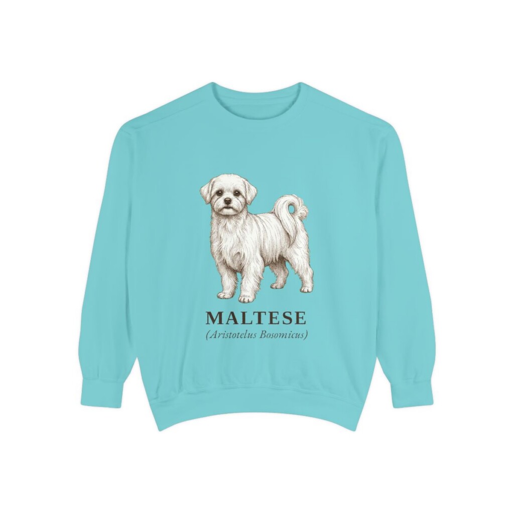 maltese-sweatshirt-latin-chalky-mint Maltese Latin Sweatshirt, Chalky Mint, front view