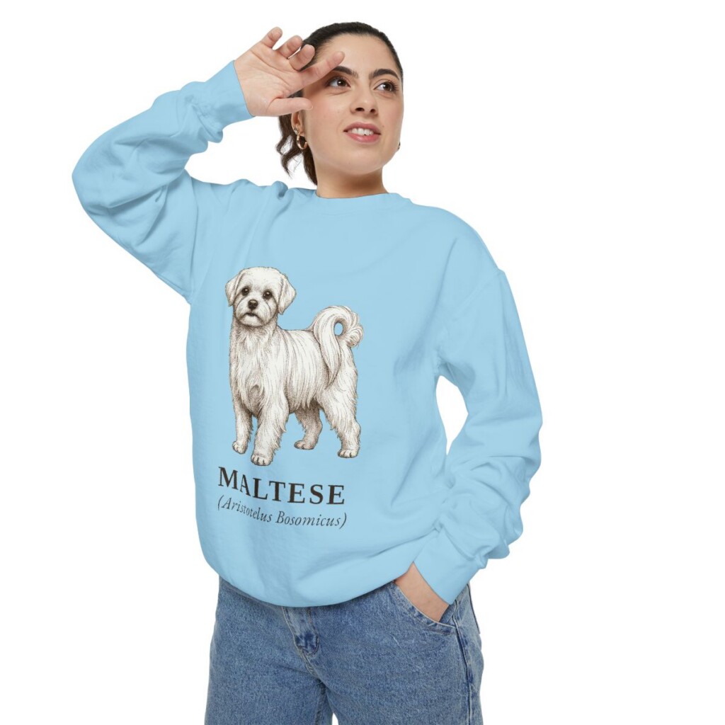 maltese-sweatshirt-latin-chambray-person-2-context Maltese Latin Sweatshirt, Chambray, person 2 context
