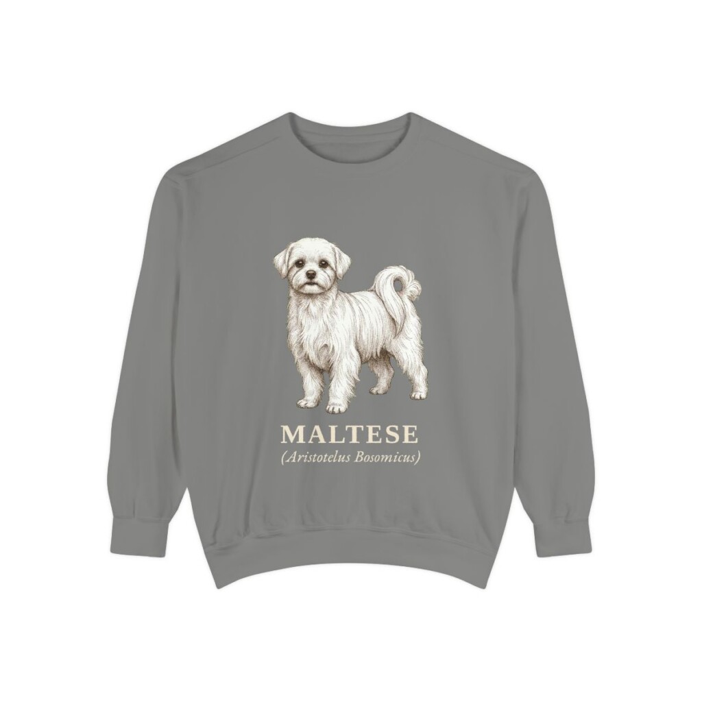 maltese-sweatshirt-latin-grey Maltese Latin Sweatshirt, Grey, front view