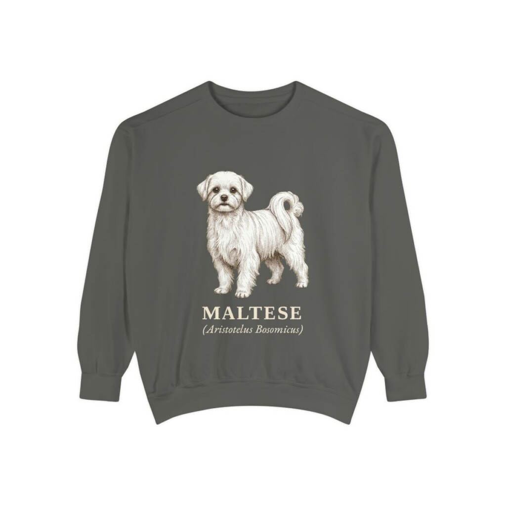 maltese-sweatshirt-latin-pepper Maltese Latin Sweatshirt, Pepper, front view