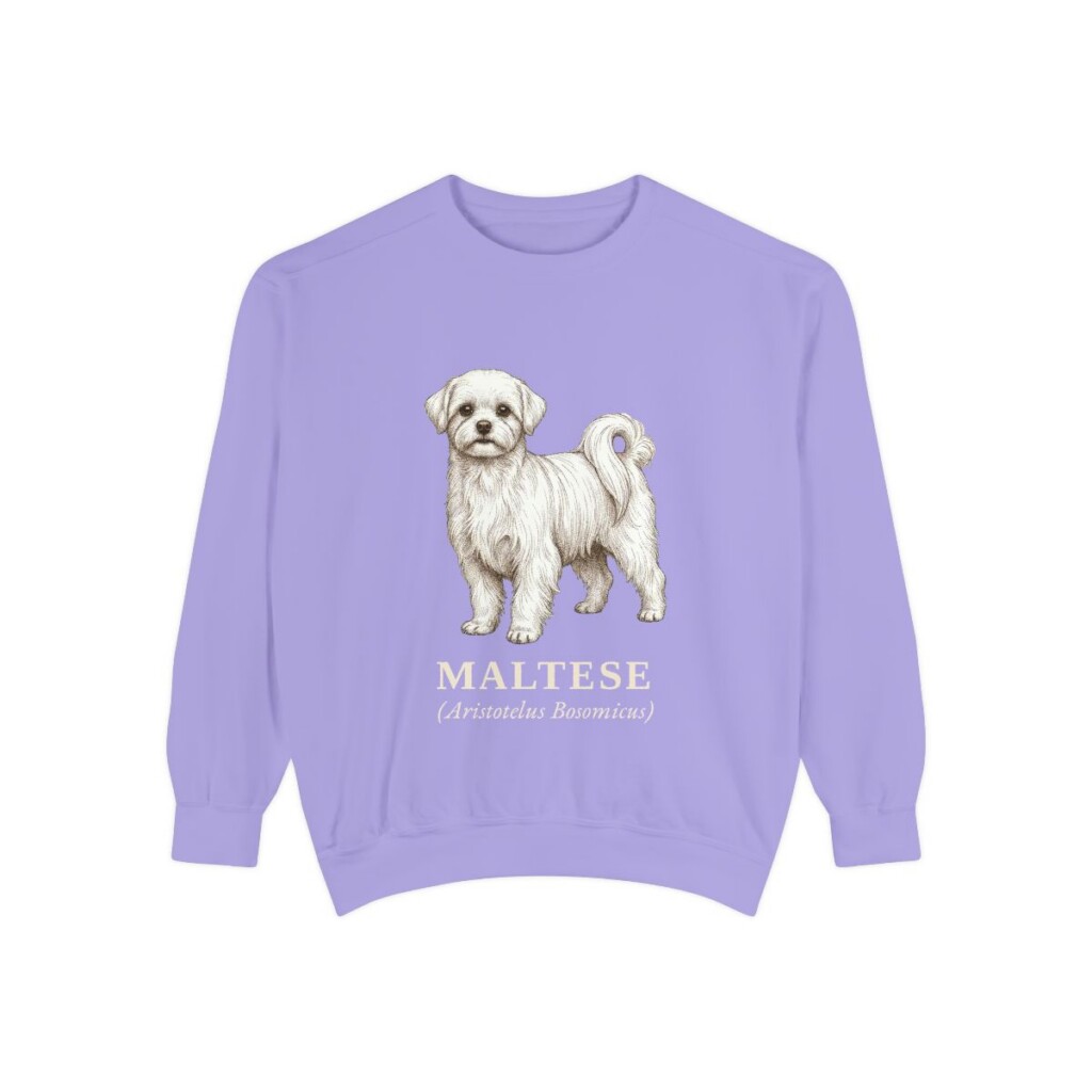 maltese-sweatshirt-latin-violet Maltese Latin Sweatshirt, Violet, front view