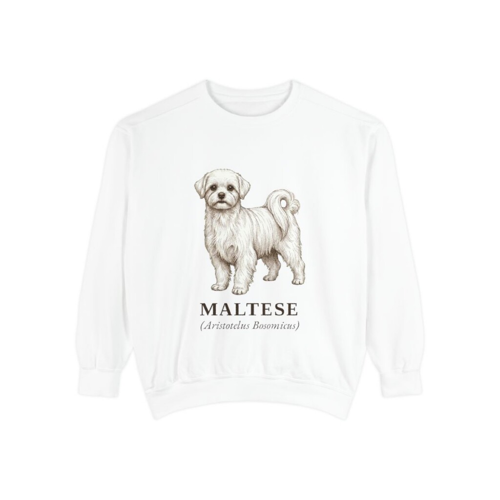 maltese-sweatshirt-latin-white Maltese Latin Sweatshirt, White, front view