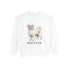 Maltese Sweatshirt, White, front view