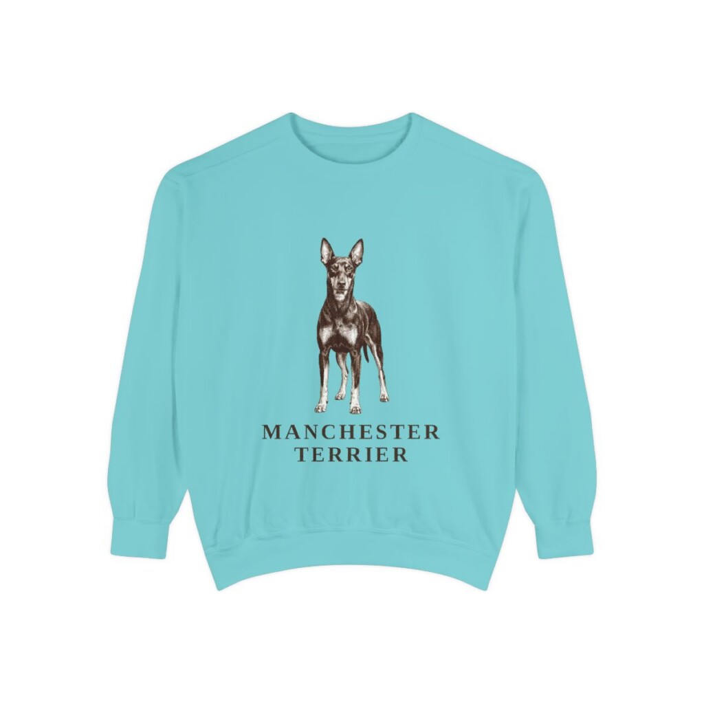 Manchester Terrier Sweatshirt, Chalky Mint, front view