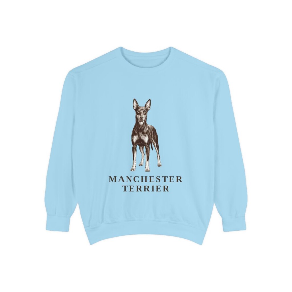 Manchester Terrier Sweatshirt, Chambray, front view