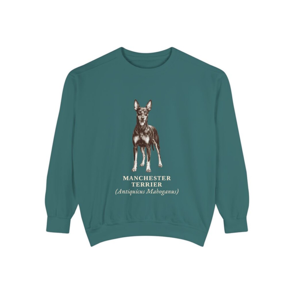 Manchester Terrier Latin Sweatshirt, Blue Spruce, front view