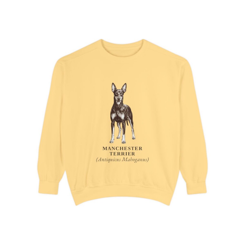 Manchester Terrier Latin Sweatshirt, Butter, front view