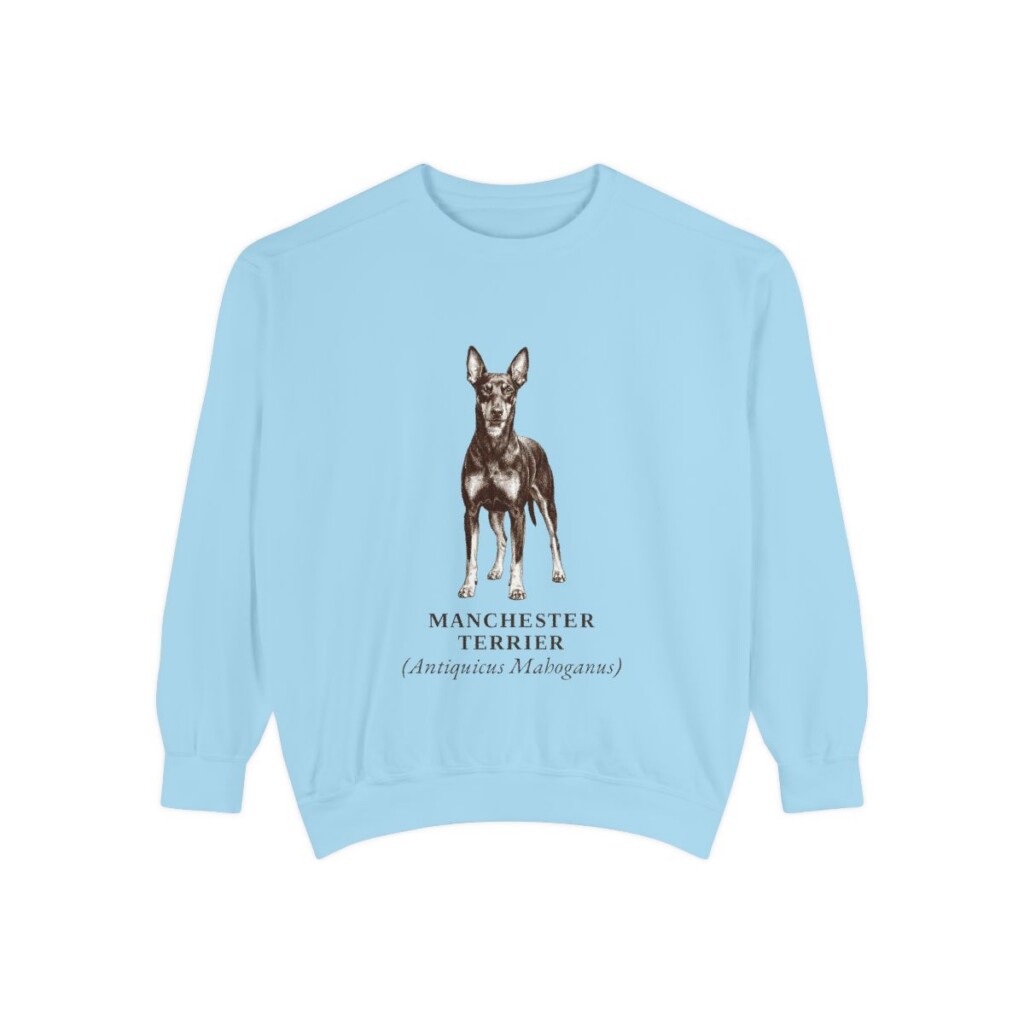 Manchester Terrier Latin Sweatshirt, Chambray, front view