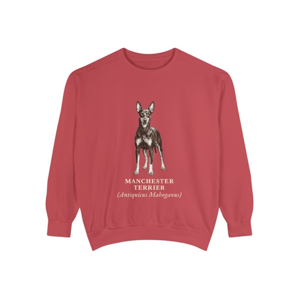 Manchester Terrier Latin Sweatshirt, Crimson, front view