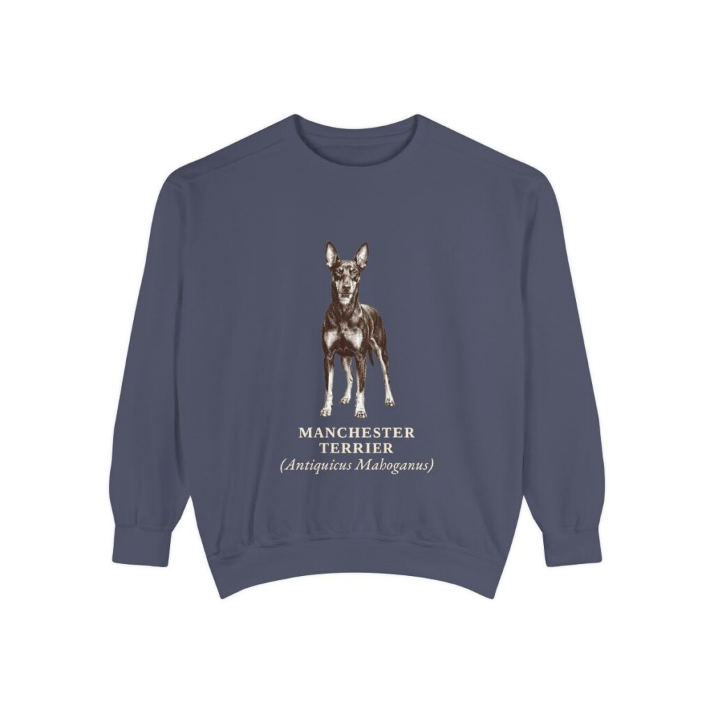 Manchester Terrier Latin Sweatshirt, Denim, front view