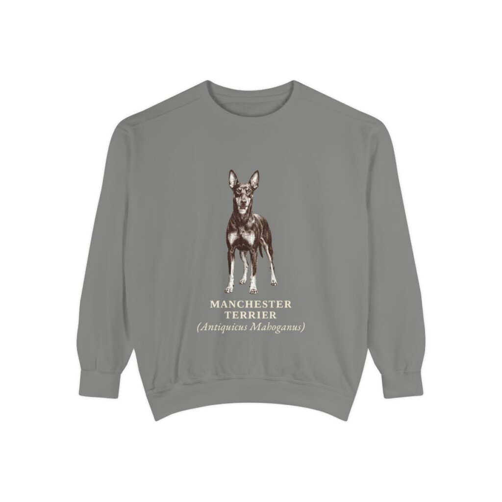 Manchester Terrier Latin Sweatshirt, Grey, front view