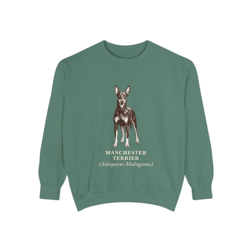 Manchester Terrier Latin Sweatshirt, Light Green, front view