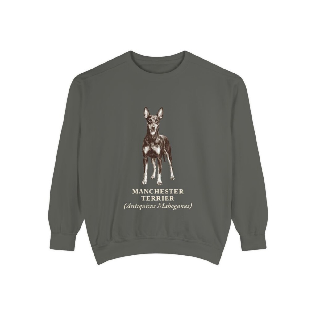 Manchester Terrier Latin Sweatshirt, Pepper, front view