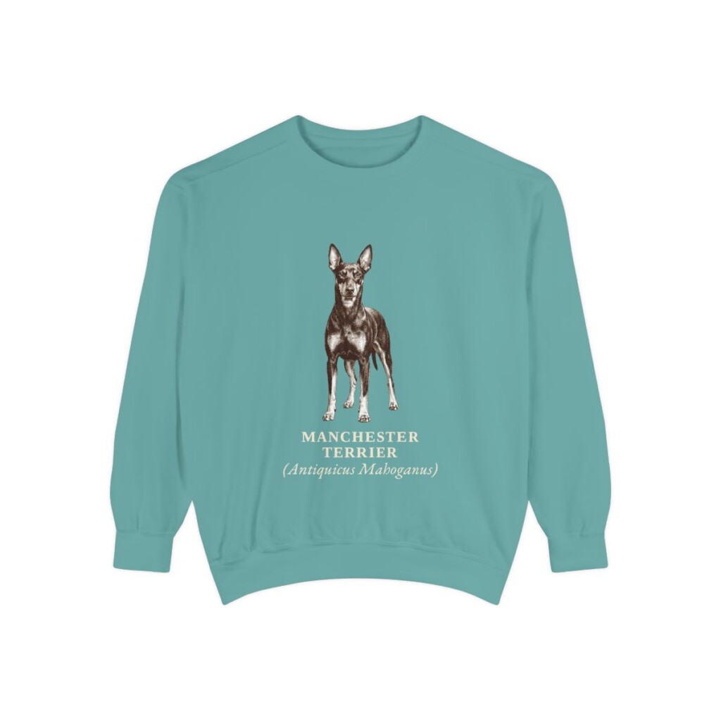 Manchester Terrier Latin Sweatshirt, Seafoam, front view