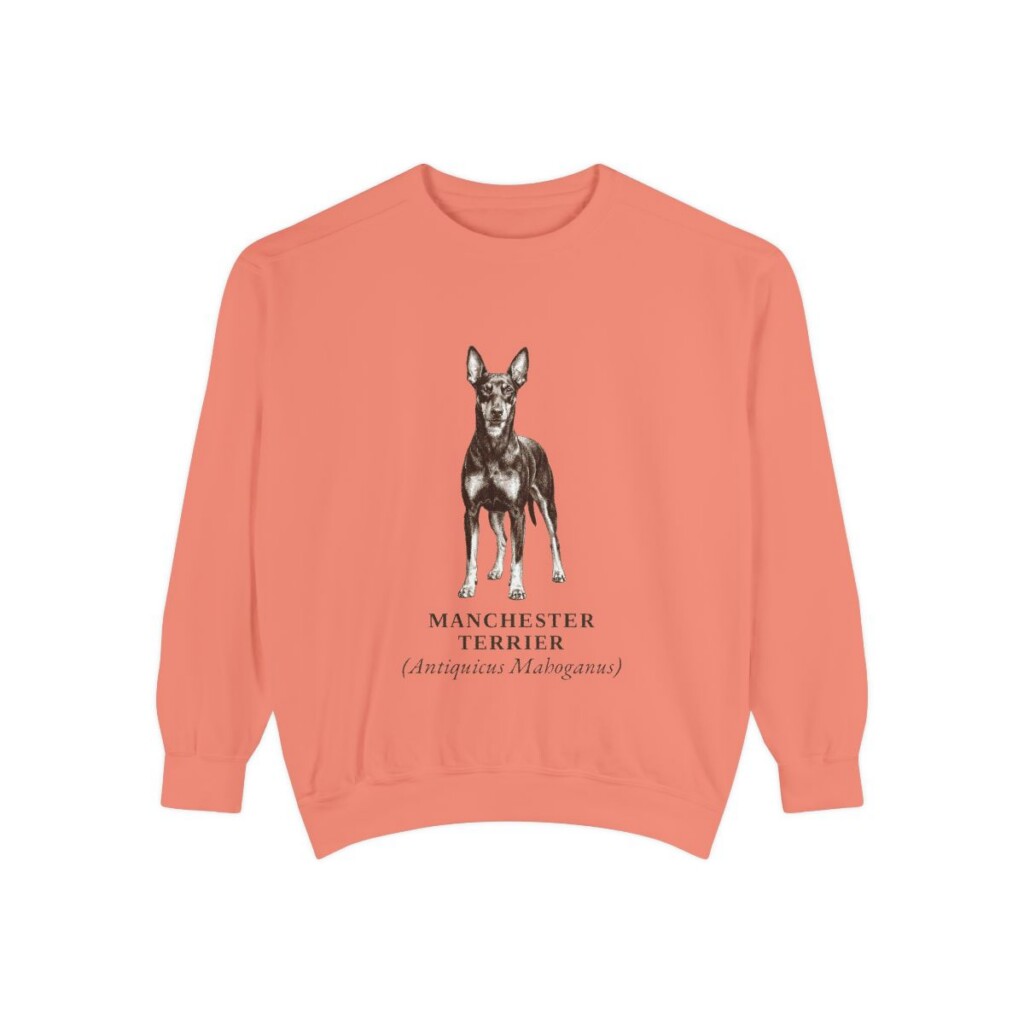 Manchester Terrier Latin Sweatshirt, Terracotta, front view
