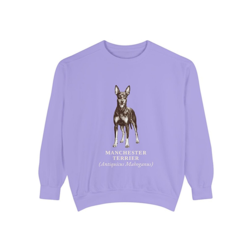 Manchester Terrier Latin Sweatshirt, Violet, front view