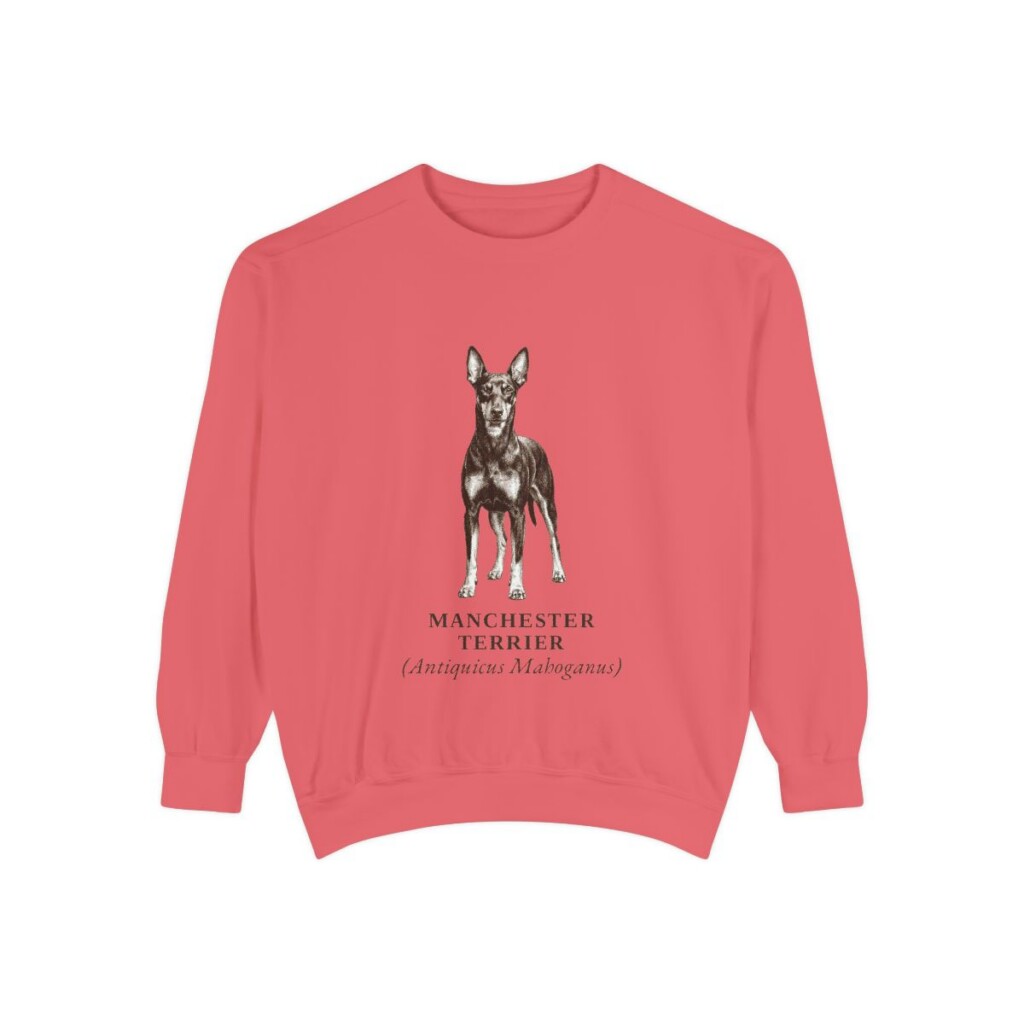 Manchester Terrier Latin Sweatshirt, Watermelon, front view