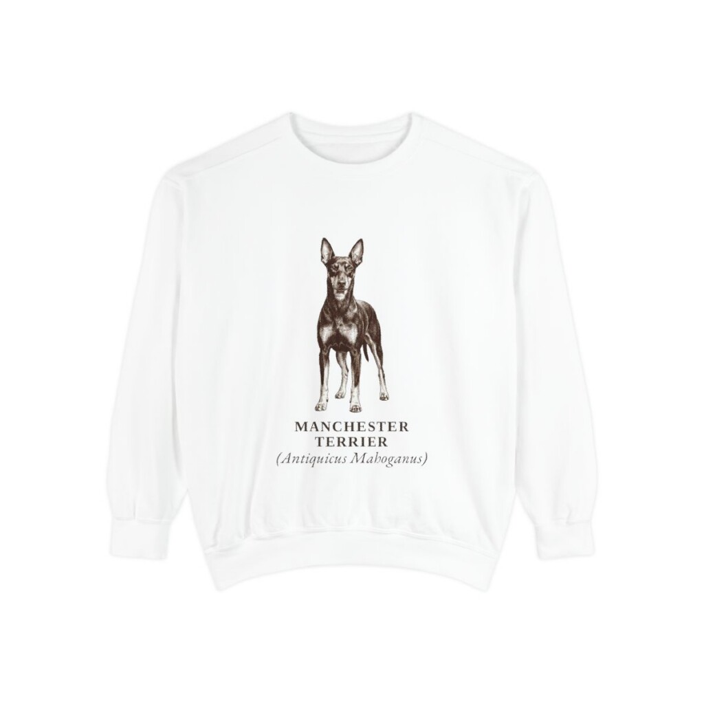 Manchester Terrier Latin Sweatshirt, White, front view