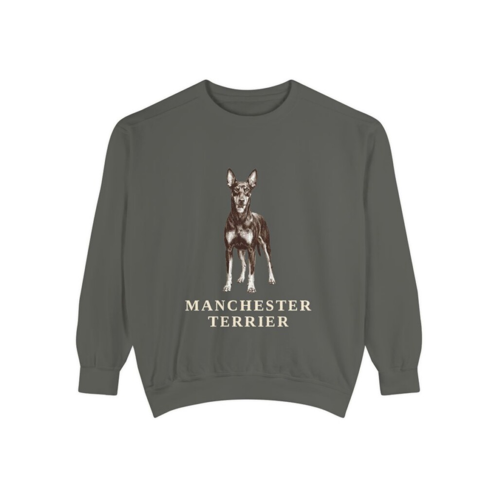 Manchester Terrier Sweatshirt, Pepper, front view