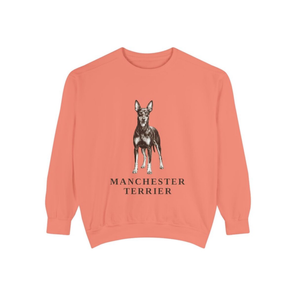 Manchester Terrier Sweatshirt, Terracotta, front view