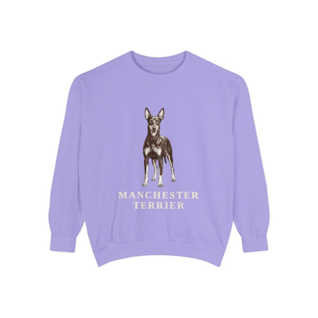 Manchester Terrier Sweatshirt, Violet, front view