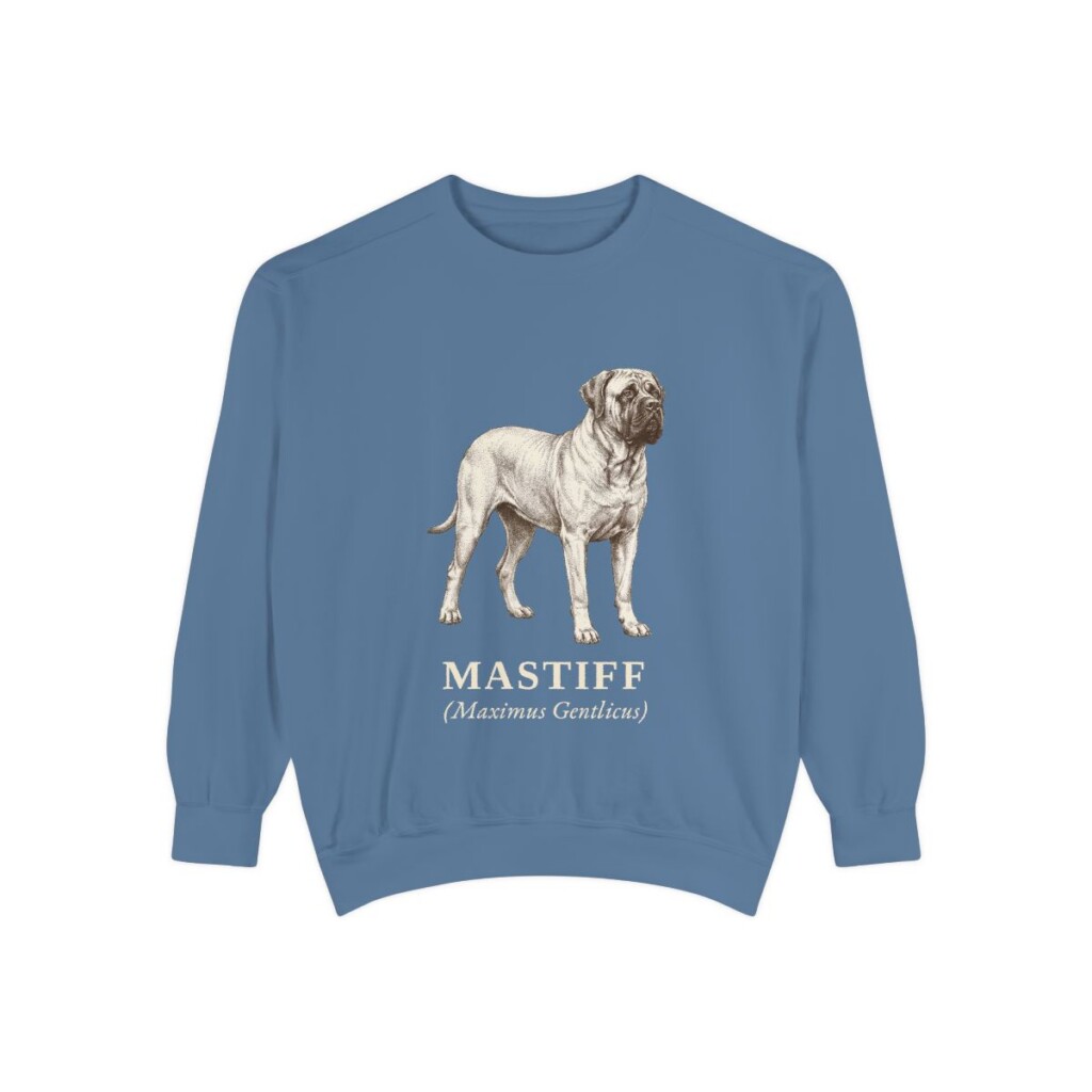 mastiff-sweatshirt-latin-blue-jean Mastiff Latin Sweatshirt, Blue Jean, front view