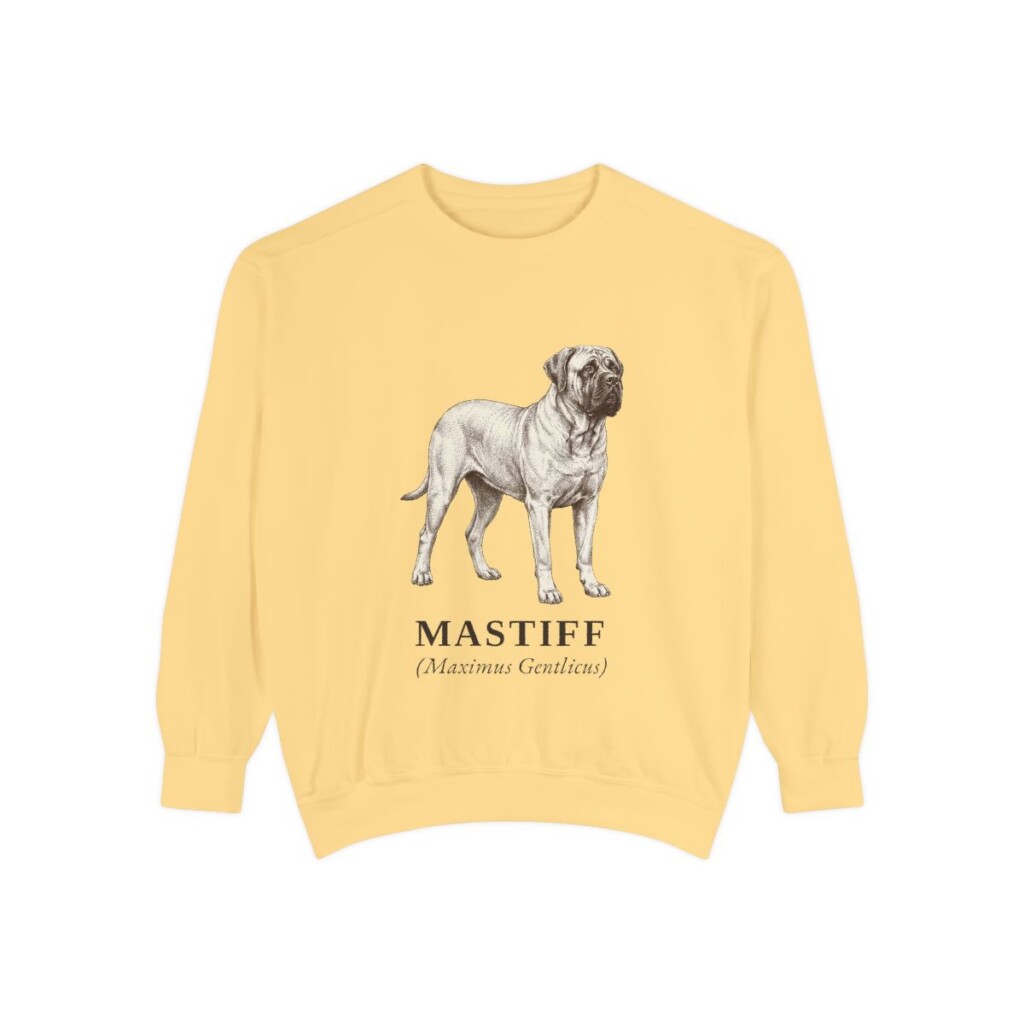 mastiff-sweatshirt-latin-butter Mastiff Latin Sweatshirt, Butter, front view