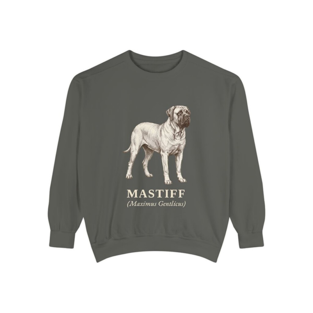 mastiff-sweatshirt-latin-pepper Mastiff Latin Sweatshirt, Pepper, front view