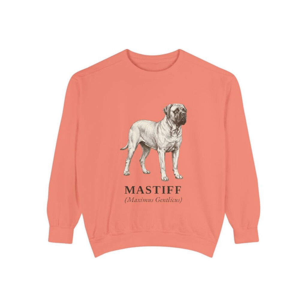 mastiff-sweatshirt-latin-terracotta Mastiff Latin Sweatshirt, Terracotta, front view