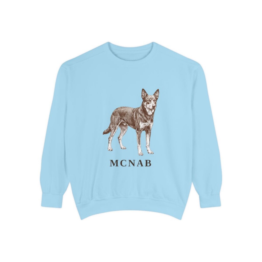 McNab Sweatshirt, Chambray, front view