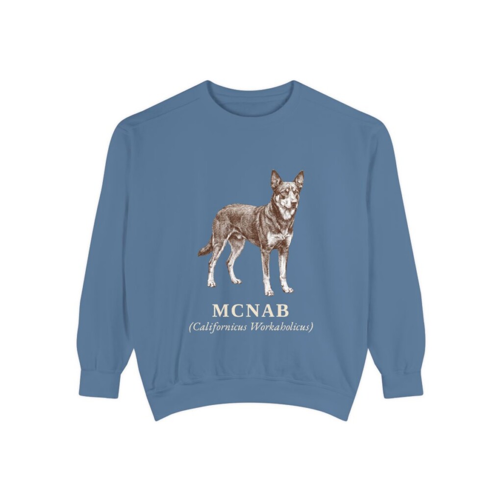 McNab Latin Sweatshirt, Blue Jean, front view