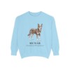 McNab Latin Sweatshirt, Chambray, front view