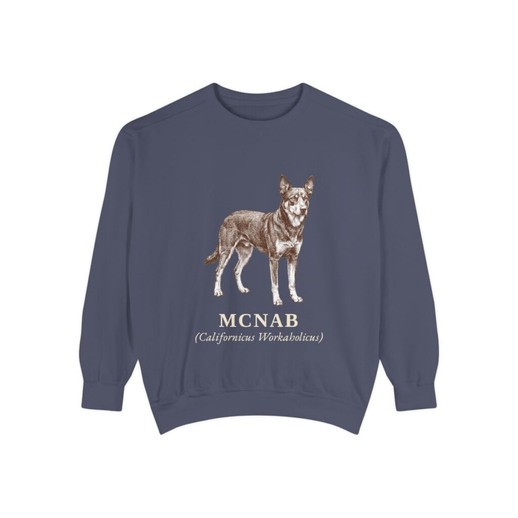 McNab Latin Sweatshirt, Denim, front view