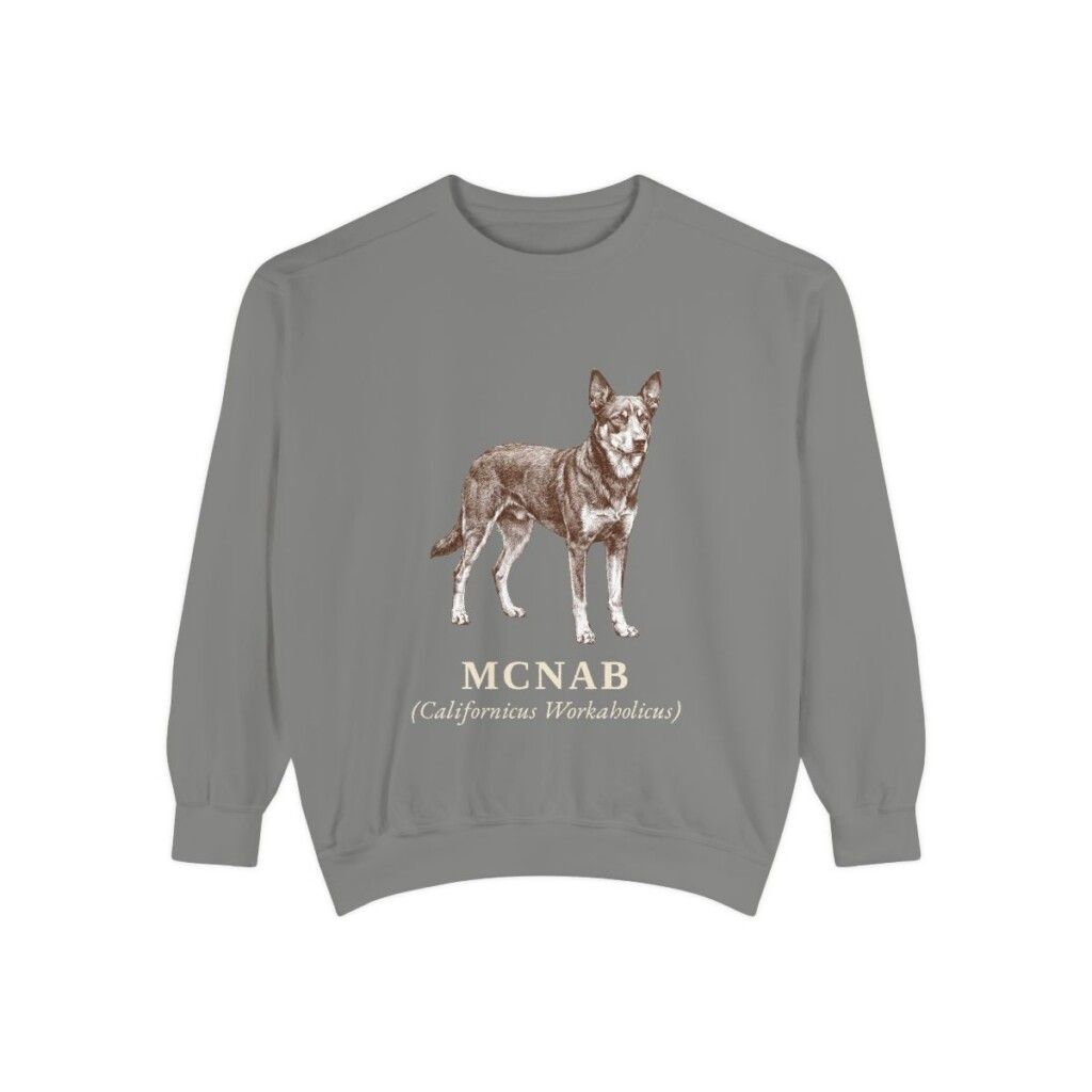 McNab Latin Sweatshirt, Grey, front view