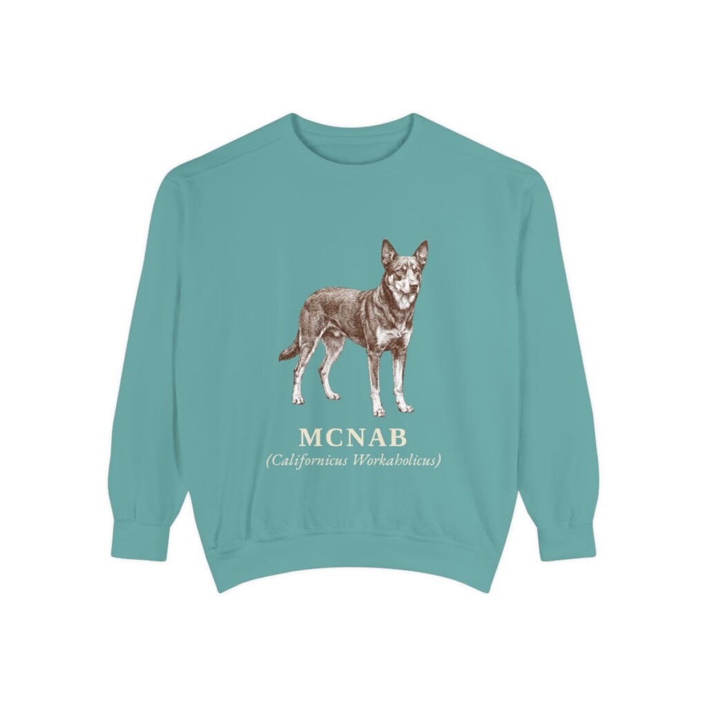 McNab Latin Sweatshirt, Seafoam, front view