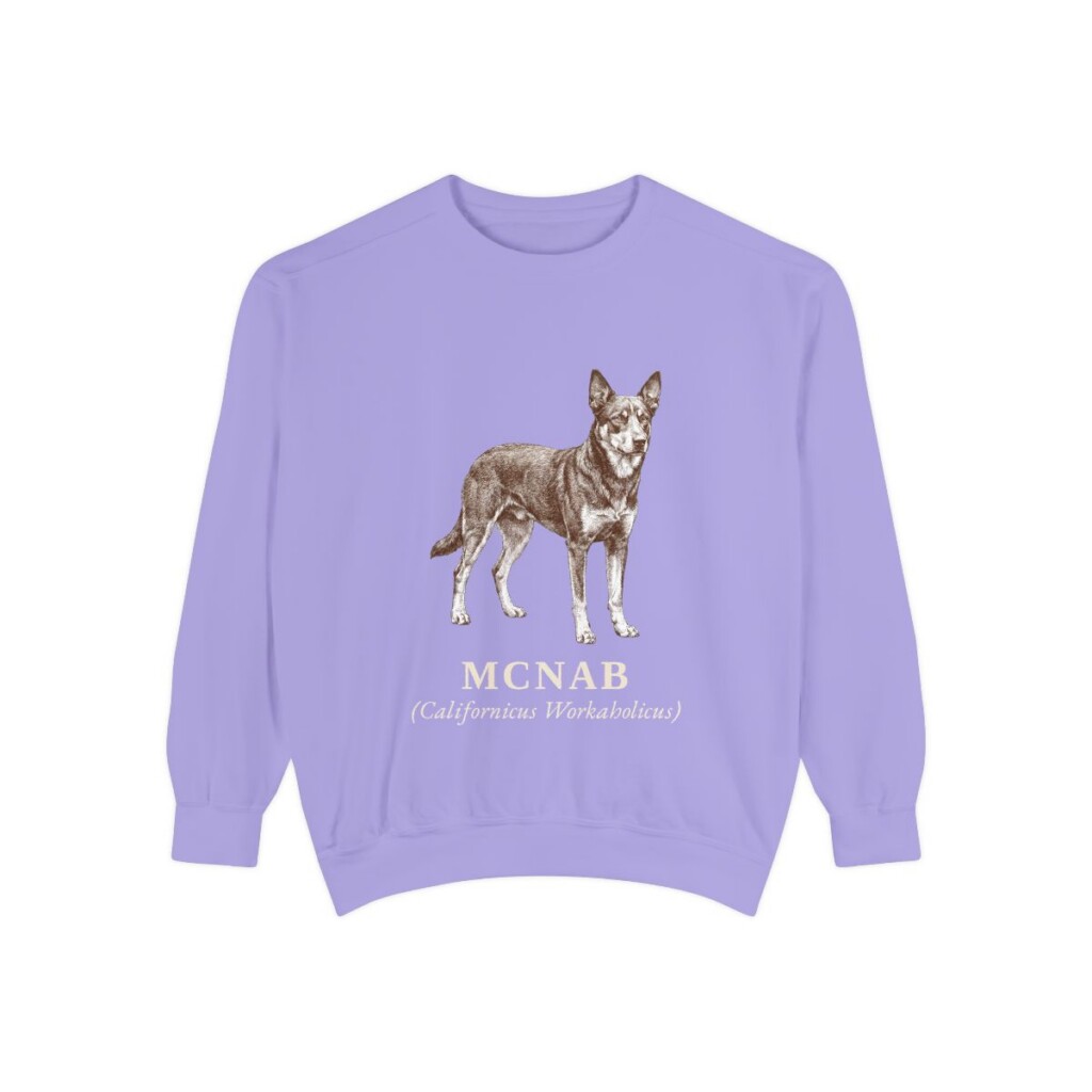 McNab Latin Sweatshirt, Violet, front view
