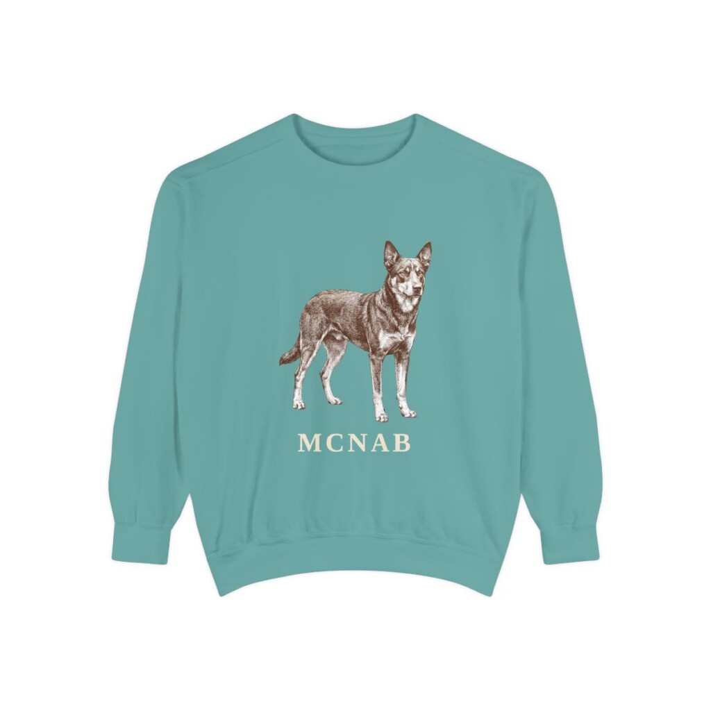 McNab Sweatshirt, Seafoam, front view