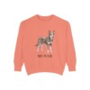 McNab Sweatshirt, Terracotta, front view