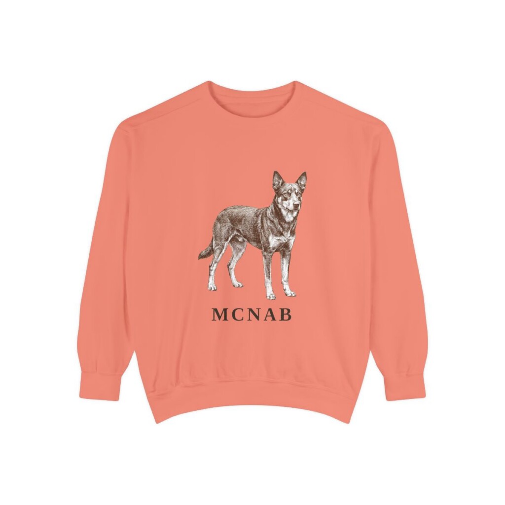 McNab Sweatshirt, Terracotta, front view