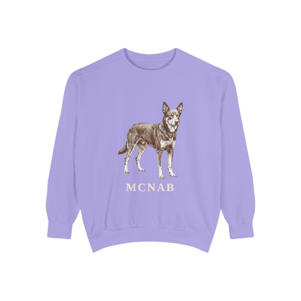 McNab Sweatshirt, Violet, front view