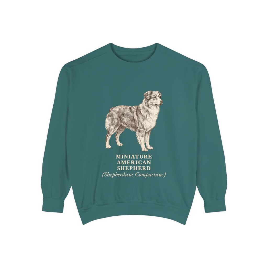 Miniature American Shepherd Latin Sweatshirt, Blue Spruce, front view