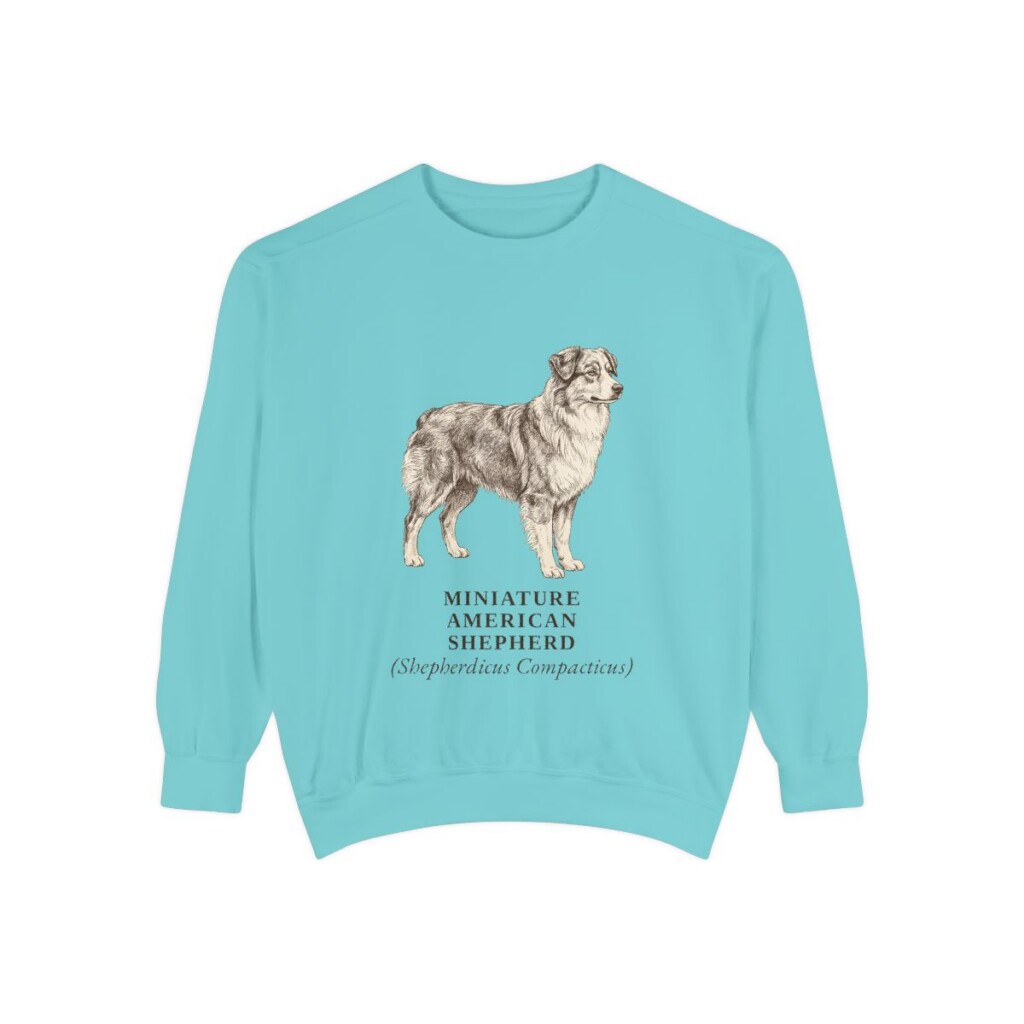 Miniature American Shepherd Latin Sweatshirt, Chalky Mint, front view