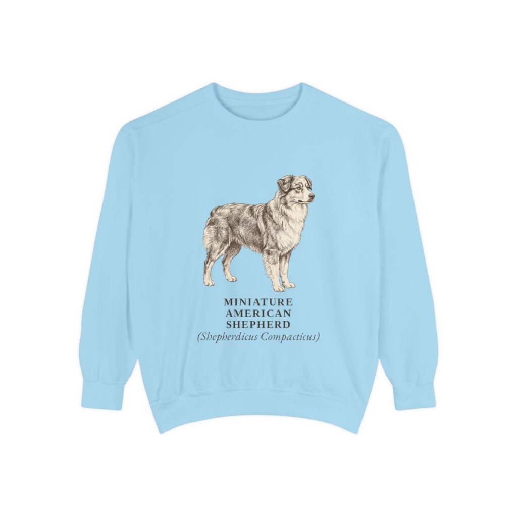 Miniature American Shepherd Latin Sweatshirt, Chambray, front view