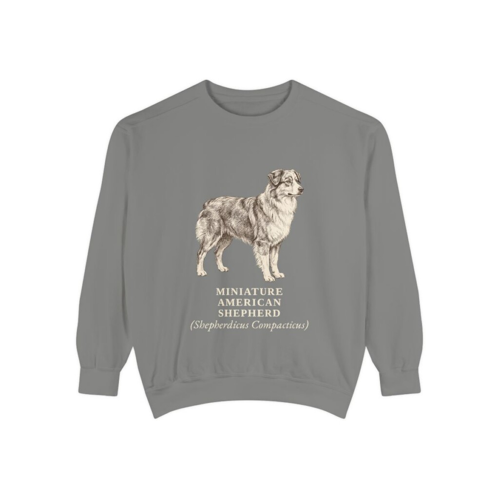 Miniature American Shepherd Latin Sweatshirt, Grey, front view