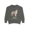 Miniature American Shepherd Latin Sweatshirt, Pepper, front view