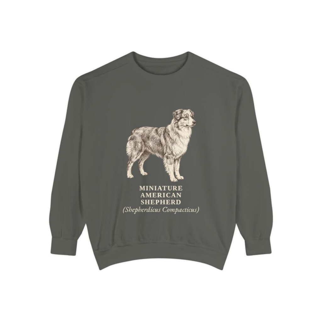 Miniature American Shepherd Latin Sweatshirt, Pepper, front view