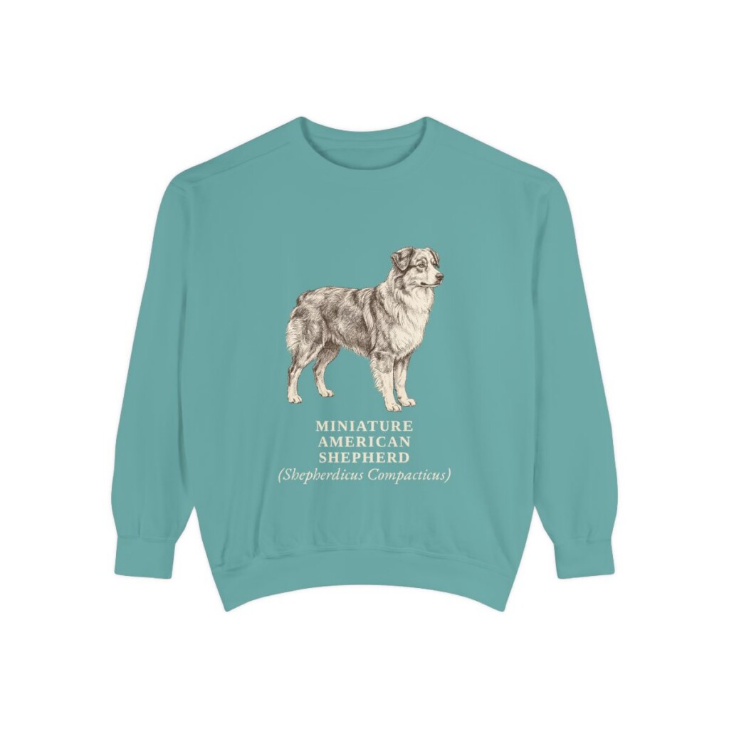 Miniature American Shepherd Latin Sweatshirt, Seafoam, front view