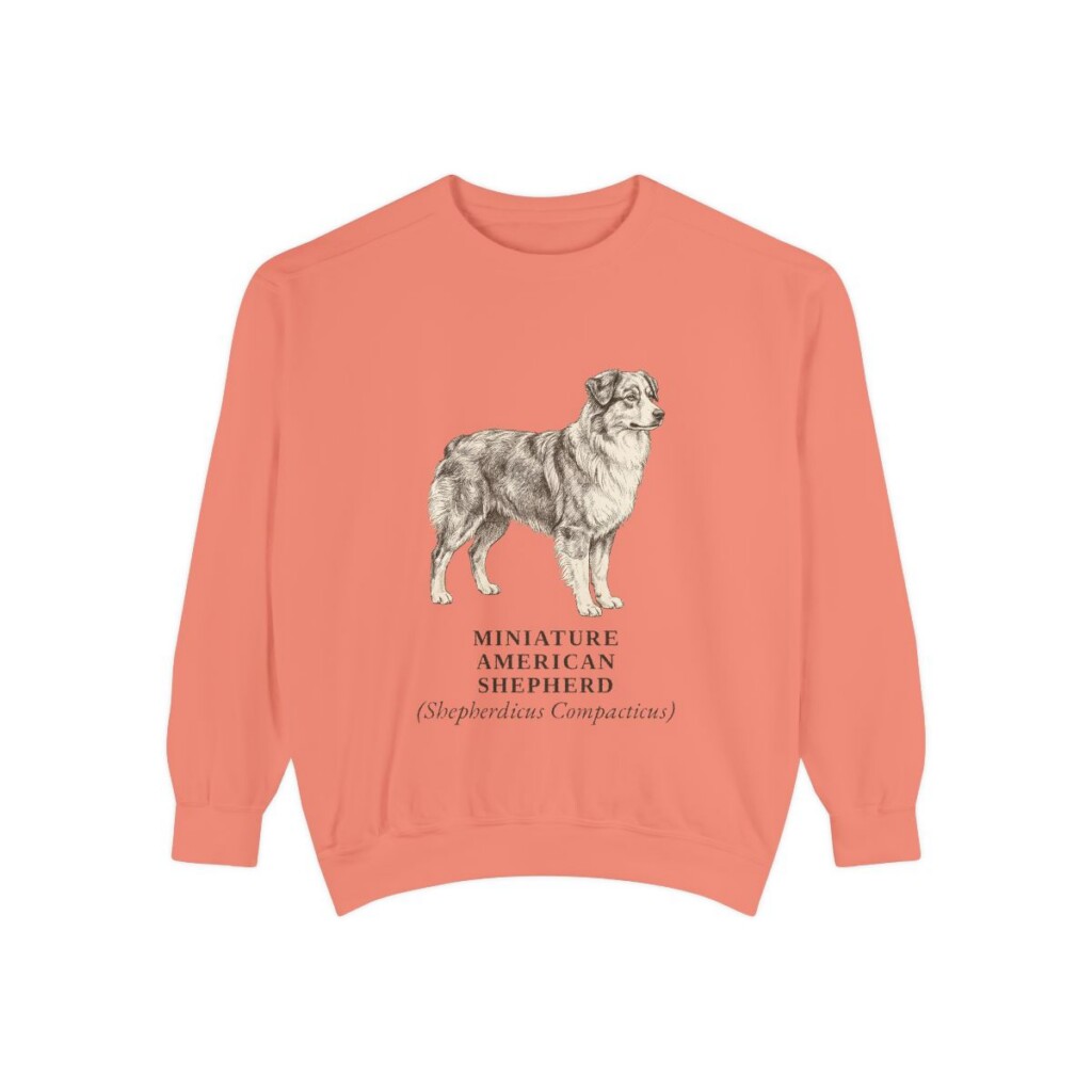Miniature American Shepherd Latin Sweatshirt, Terracotta, front view